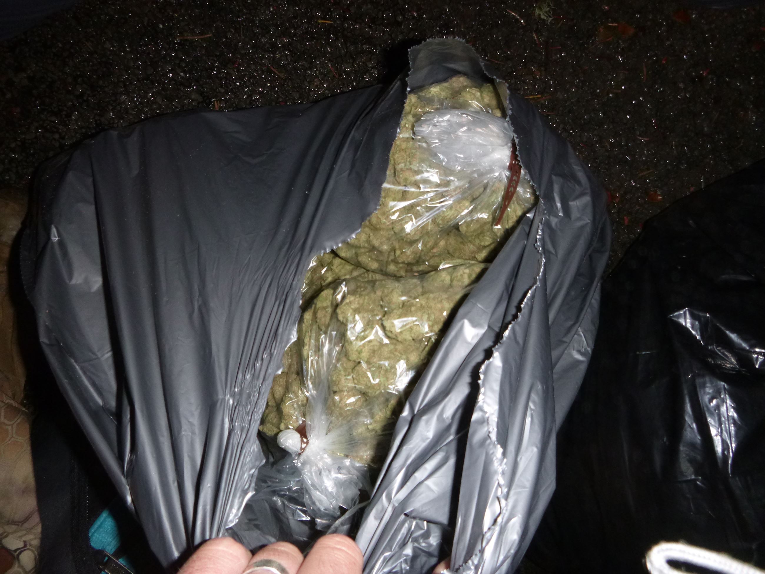 Marijuana Arrests - Cases 201605182 & 201605186